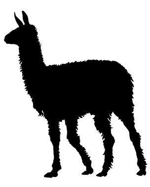 Lama Silhouette clipart