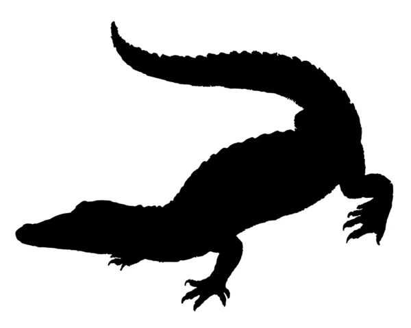 Krokodýl Silueta — Stock fotografie