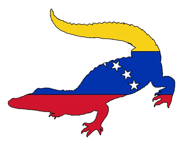 Krokodil Venezuela — Stockfoto