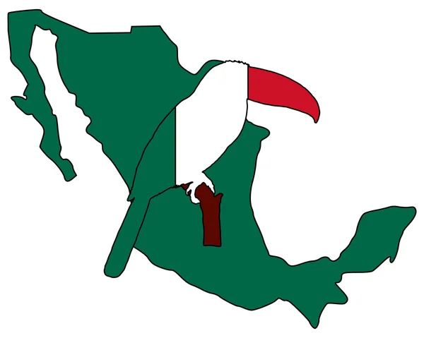 Toucan Mexico — Stock Photo, Image