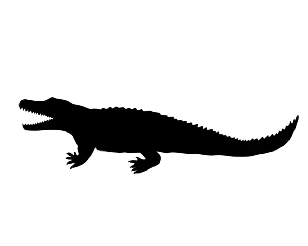 Nile Crocodile Silhouette — 图库照片
