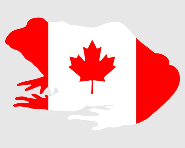 Bullfrog Canada — Stockfoto