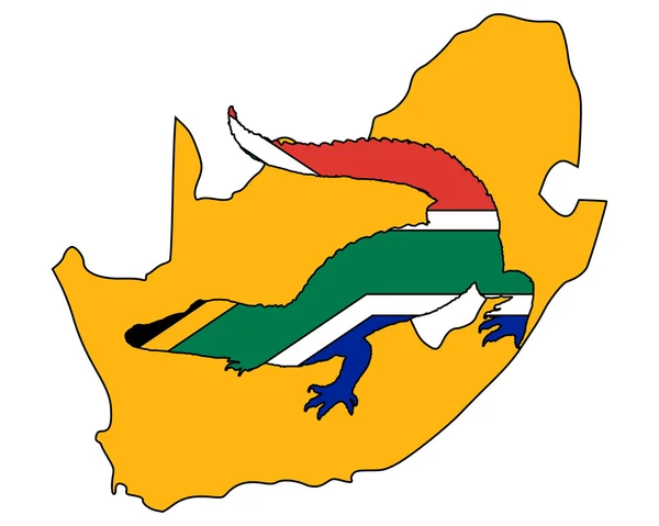 Krokodýl Jihoafrická republika — Stock fotografie