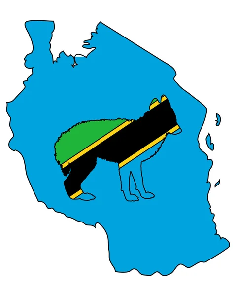 Jackal Tanzania — Stock Photo, Image