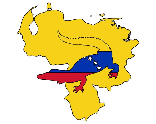 Krokodyl Wenezuela — Zdjęcie stockowe