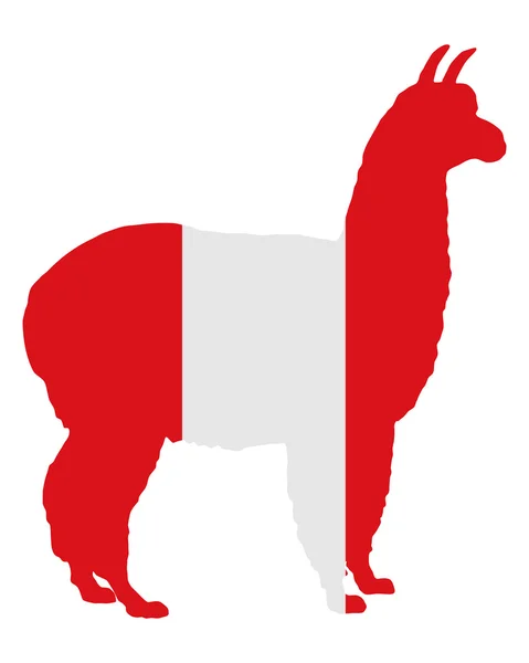 Peruaanse Alpaca — Stockfoto