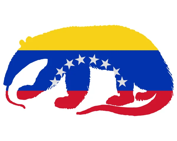 Formichiere Venezuela — Foto Stock