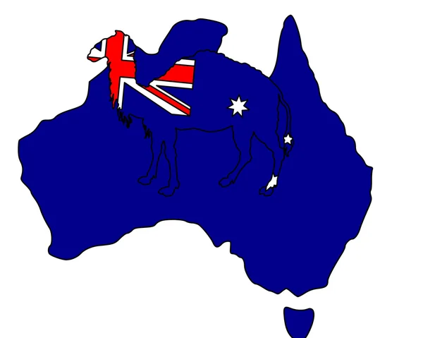 Cammello Australiano — Foto Stock