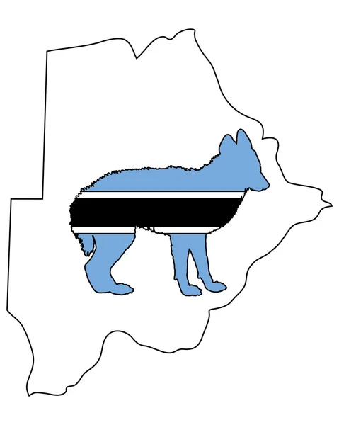 博茨瓦纳的豺狼 — 图库照片