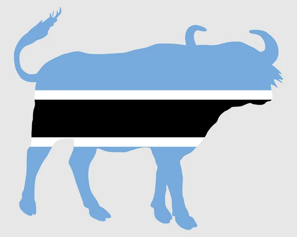 Botswana Buffalo — Stockfoto
