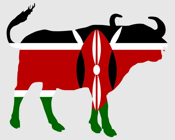 Mantello del Kenya bufalo — Foto Stock