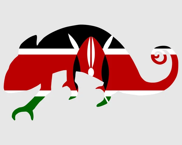 Kenia Chameleon — Stockfoto