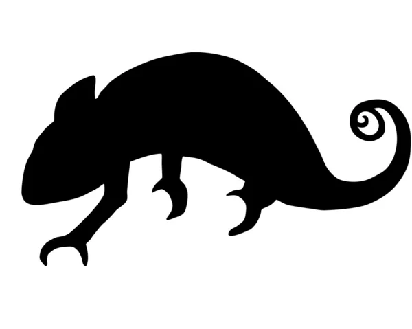 Chameleon silhouet — Stockfoto
