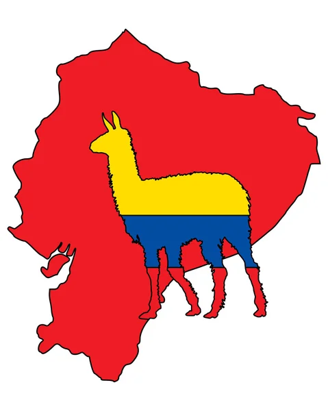 Lama Ecuador — Foto Stock