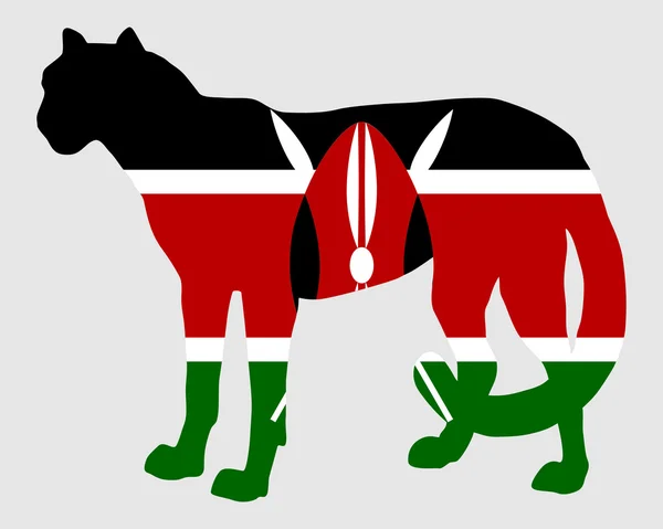 Ghepardo Kenya — Foto Stock