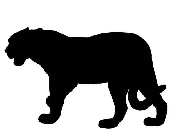 Jaguar silhouette — Stock Photo, Image
