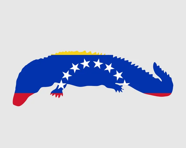 Kaaiman venezuela — Stockfoto