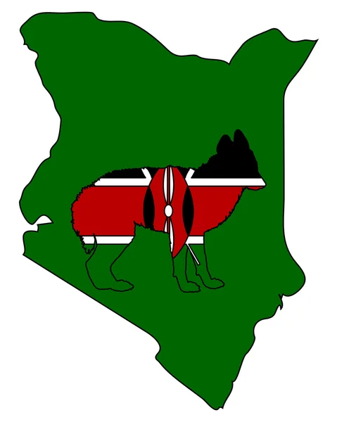 Szakal z Kenii — Zdjęcie stockowe