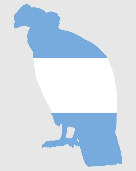 Andes condor Argentinië — Stockfoto