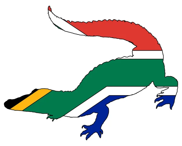 Krokodýl Jihoafrická Republika — Stock fotografie