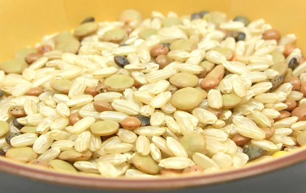 Mixed Lentils Brown Rice Bowl Ceramic — Stock Photo, Image