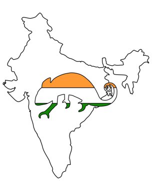 Hindistan bukalemun