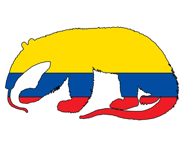 Anteater Ecuador — Stockfoto