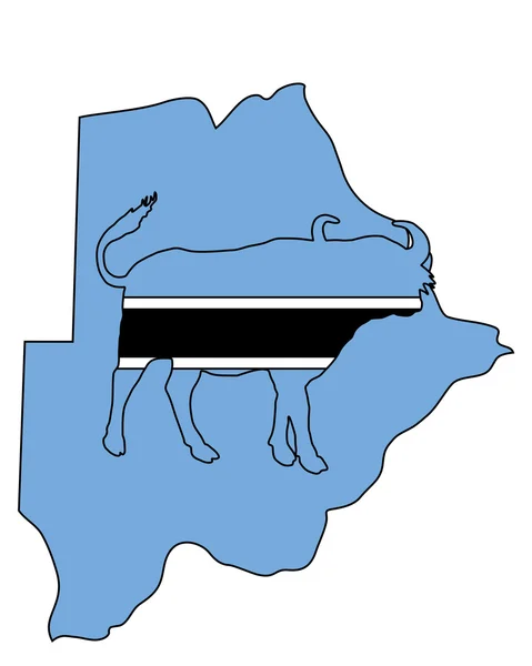 Botswana buffalo — Stock Photo, Image