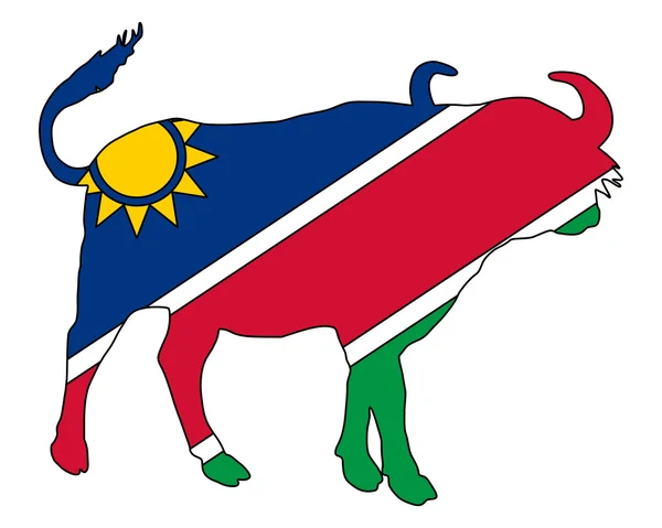 Namibia Buffalo — Stock Photo, Image