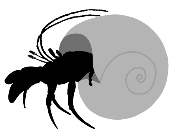 Hermit Crab Silhouette — Stock Photo, Image