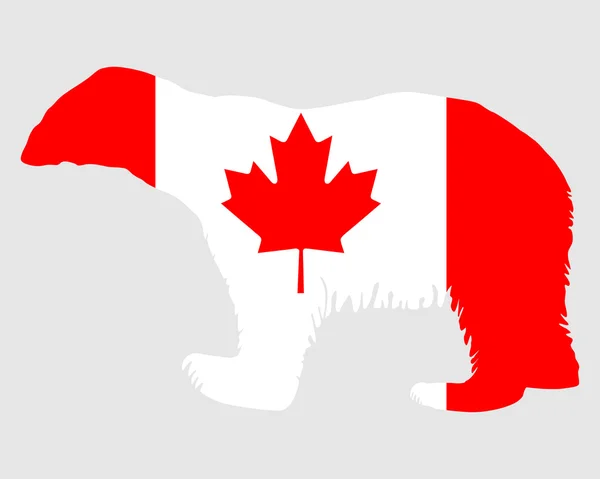 Канадський Полярний Ведмідь — стокове фото