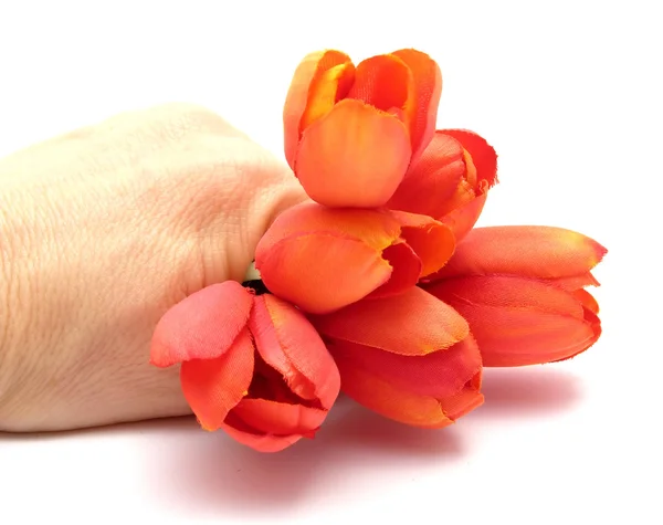 Hand Plastic Tulips — Stock Photo, Image