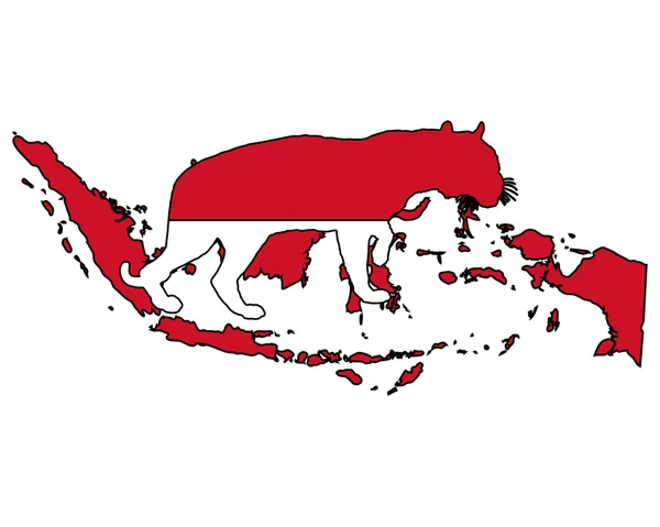 인도네시아 호랑이 — 스톡 사진