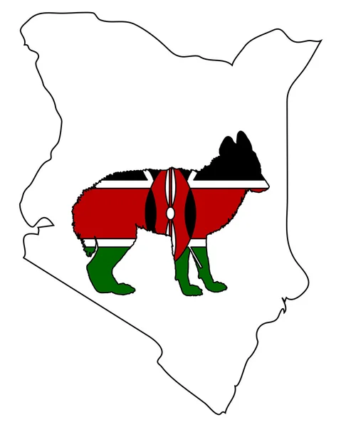Chacal Kenia — Foto de Stock