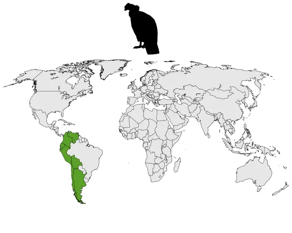 Dystrybucja Kondor andyjski — Zdjęcie stockowe