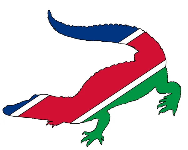 Krokodil Namibië — Stockfoto
