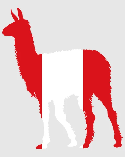 Peru Lama — Fotografia de Stock
