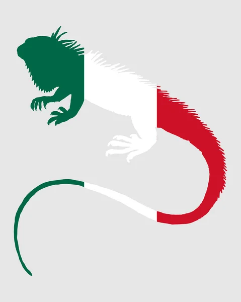 Iguana Mexico — Stock Photo, Image