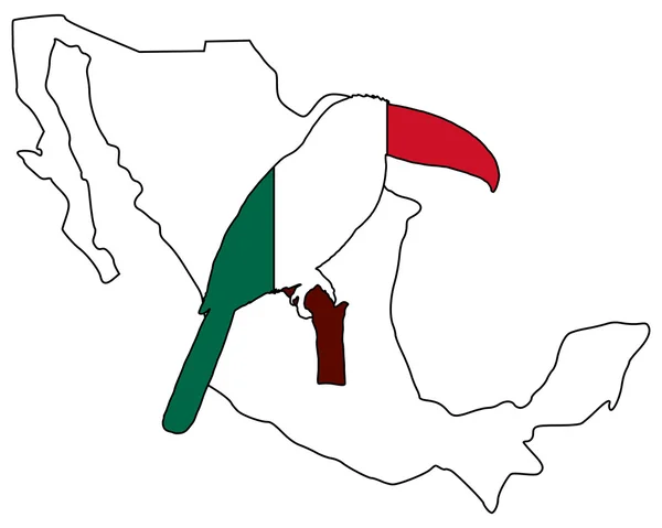 Toucan México — Foto de Stock