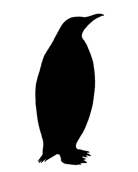 Silhouette pinguino — Foto Stock