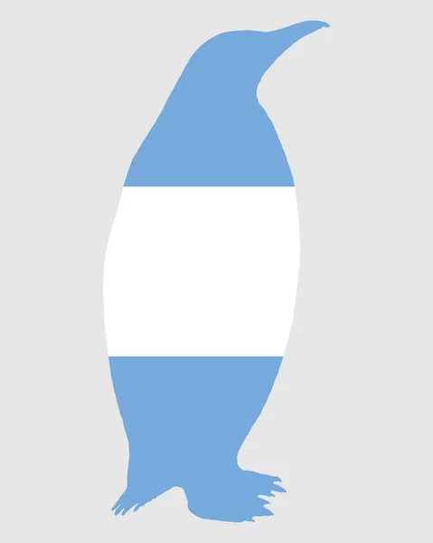 Pingvin argentina — Stockfoto