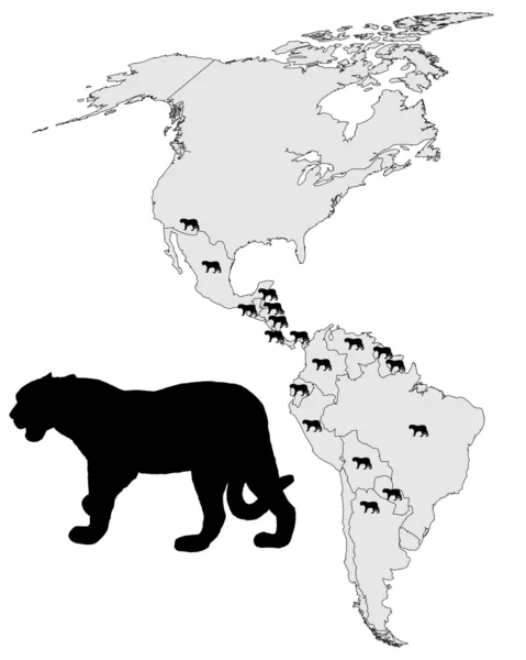 Jaguar distribution — Stock Photo, Image