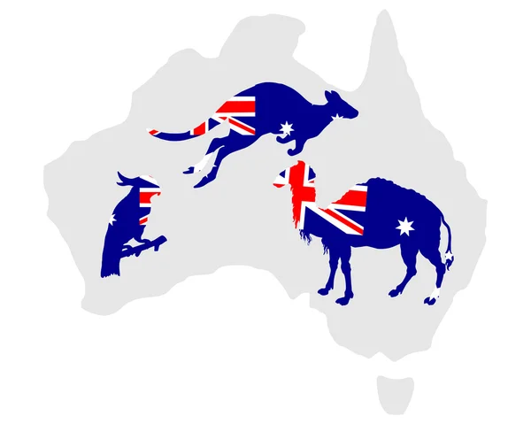 Australská zvířata — Stock fotografie