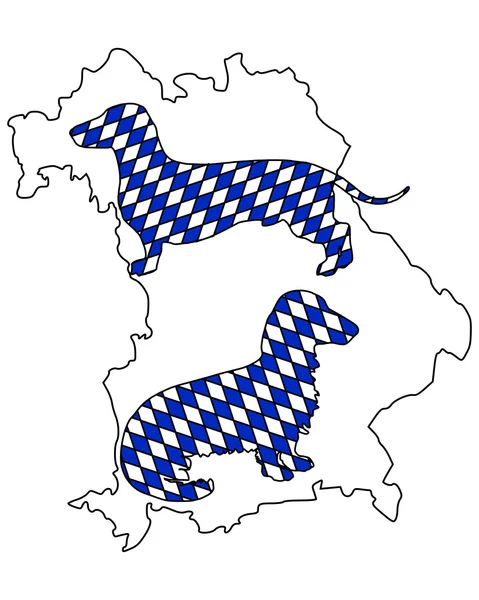 Баварский Барсук — стоковое фото