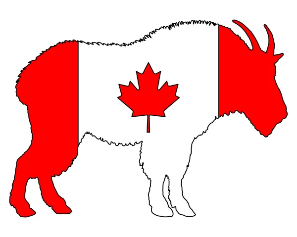 Ziegenbock-Kanada — Stockfoto