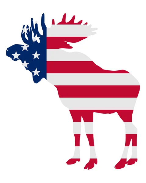 American Moose — Stock Photo, Image