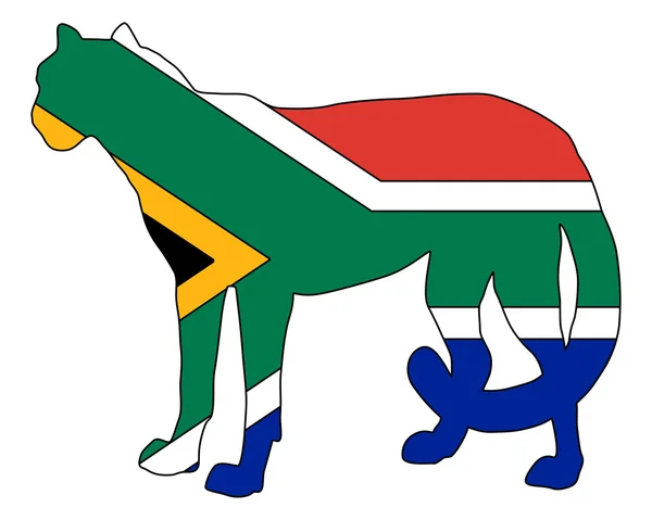 Гепард Південно Африканська Республіка — стокове фото