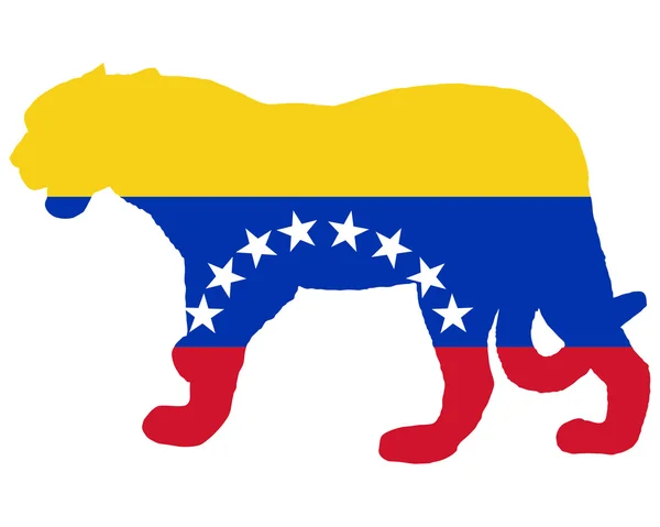 捷豹委内瑞拉 — 图库照片