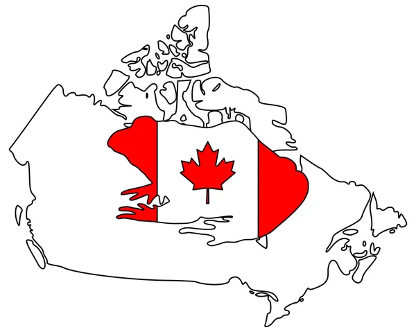 Żaba rycząca Kanada — Zdjęcie stockowe
