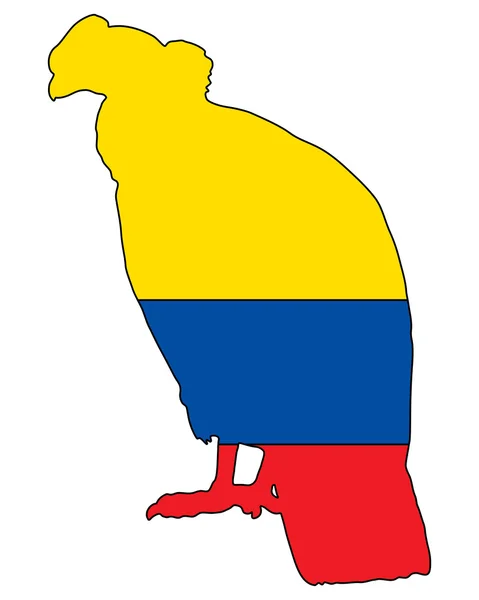 Andien kondorin Ecuador — kuvapankkivalokuva
